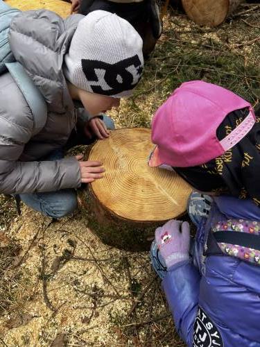 Det bla også tid til å telle årringer på en stubbe på hjemveien.
